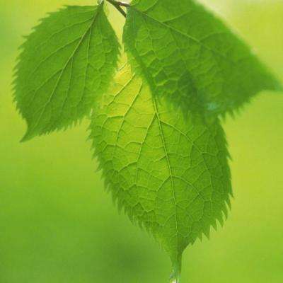 富翁彩票大厅~welcome