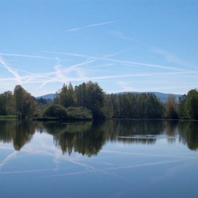 一码一肖100准资料应用手机app下载