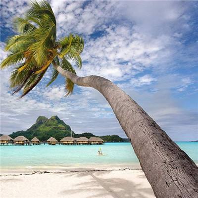 pg麻将胡了网站入口