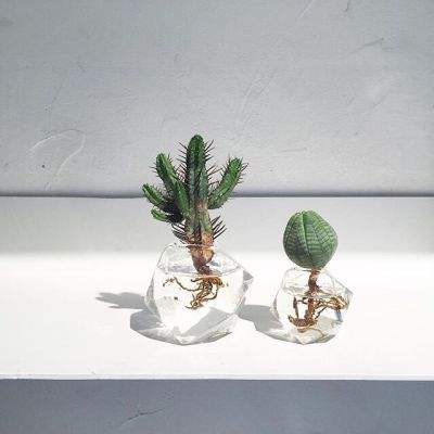 凯时AG登录入口