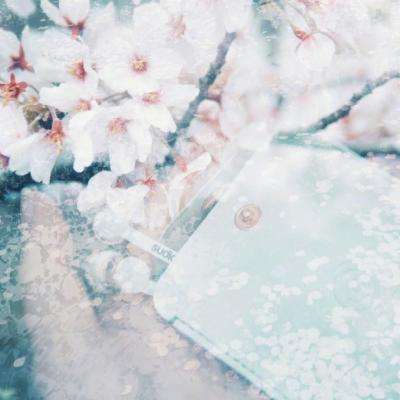 半岛官网入口网页版手机app下载