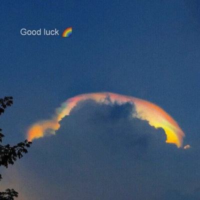 开元体育官网最新版